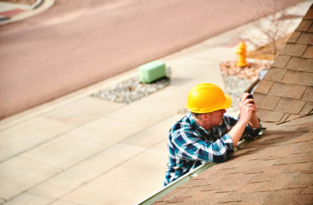 Best Roof Gutter Cleaning  in Dawson, MN